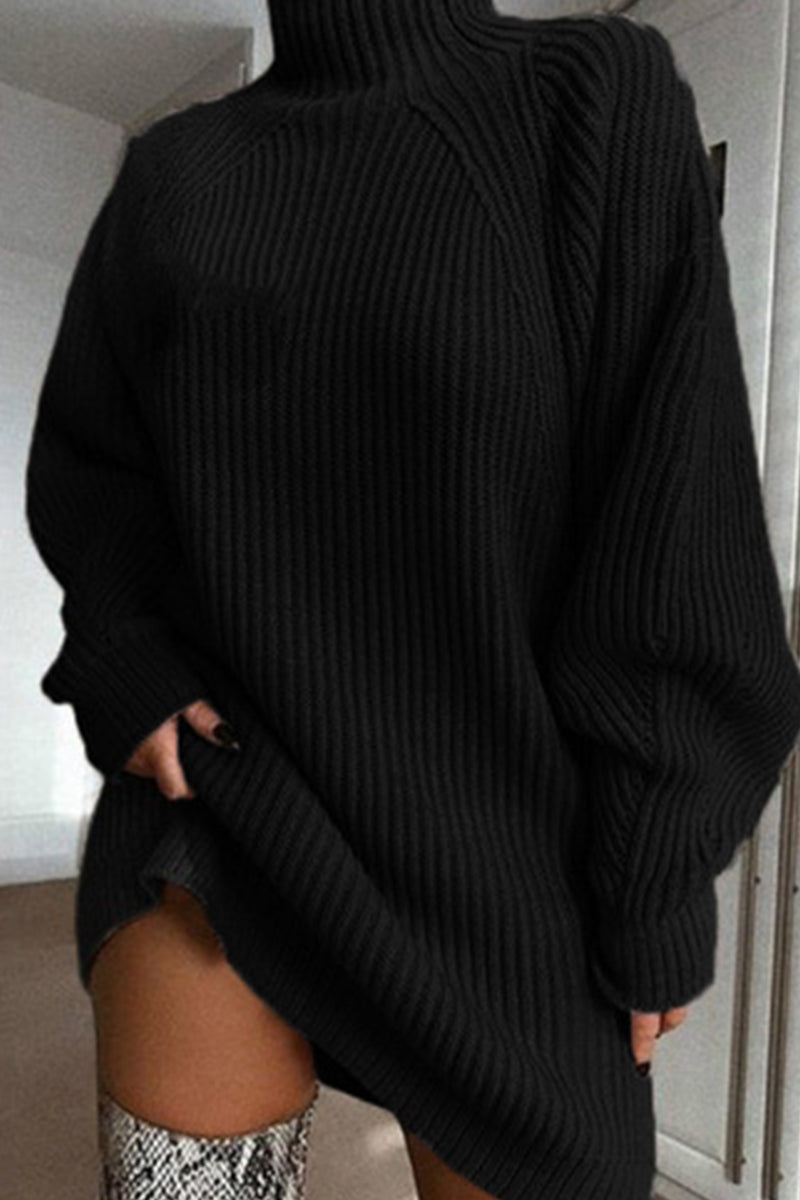 Black Casual Solid Basic Turtleneck Long Sleeve Dresses