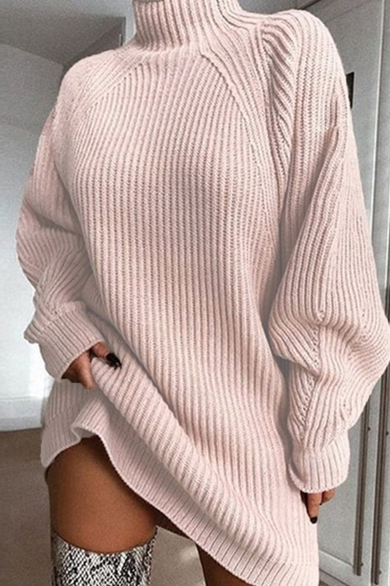 Black Casual Solid Basic Turtleneck Long Sleeve Dresses