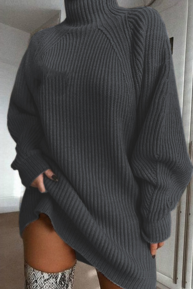 Black Casual Solid Basic Turtleneck Long Sleeve Dresses