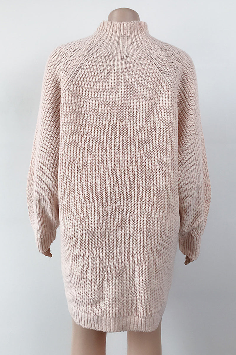 Black Casual Solid Basic Turtleneck Long Sleeve Dresses