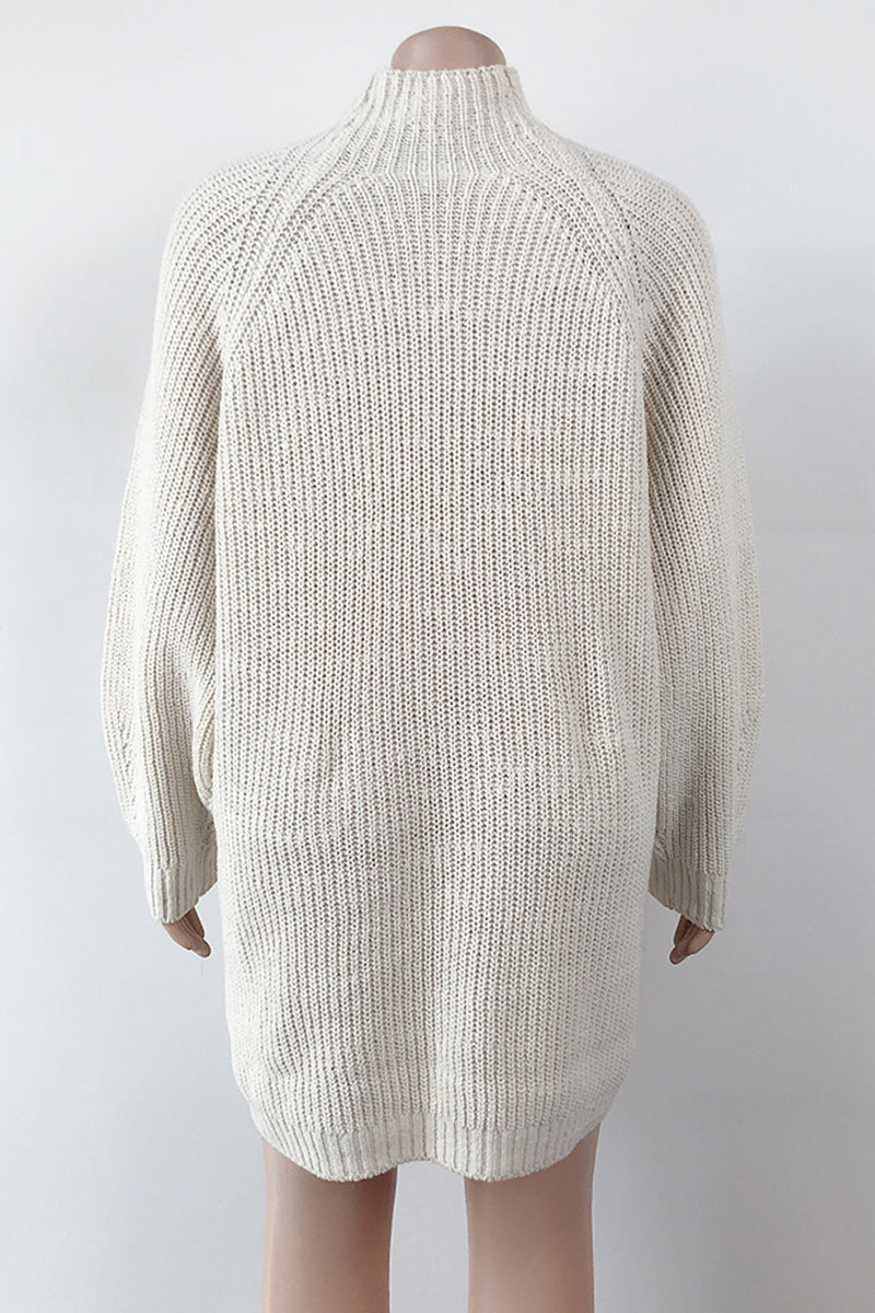 Casual Solid Basic Turtleneck Long Sleeve Dresses