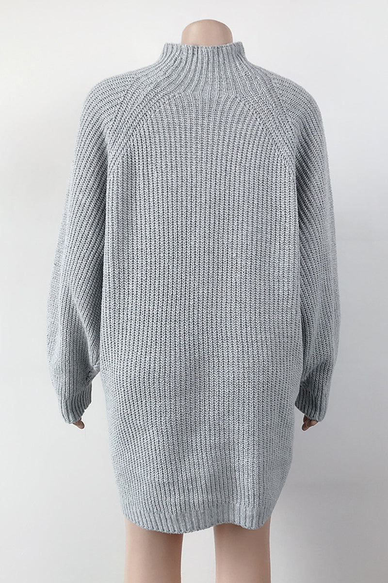 Black Casual Solid Basic Turtleneck Long Sleeve Dresses