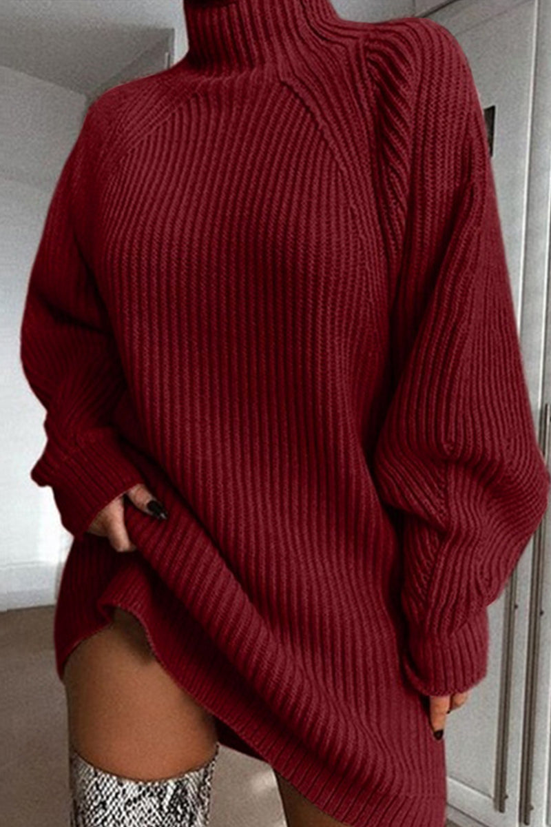 Black Casual Solid Basic Turtleneck Long Sleeve Dresses