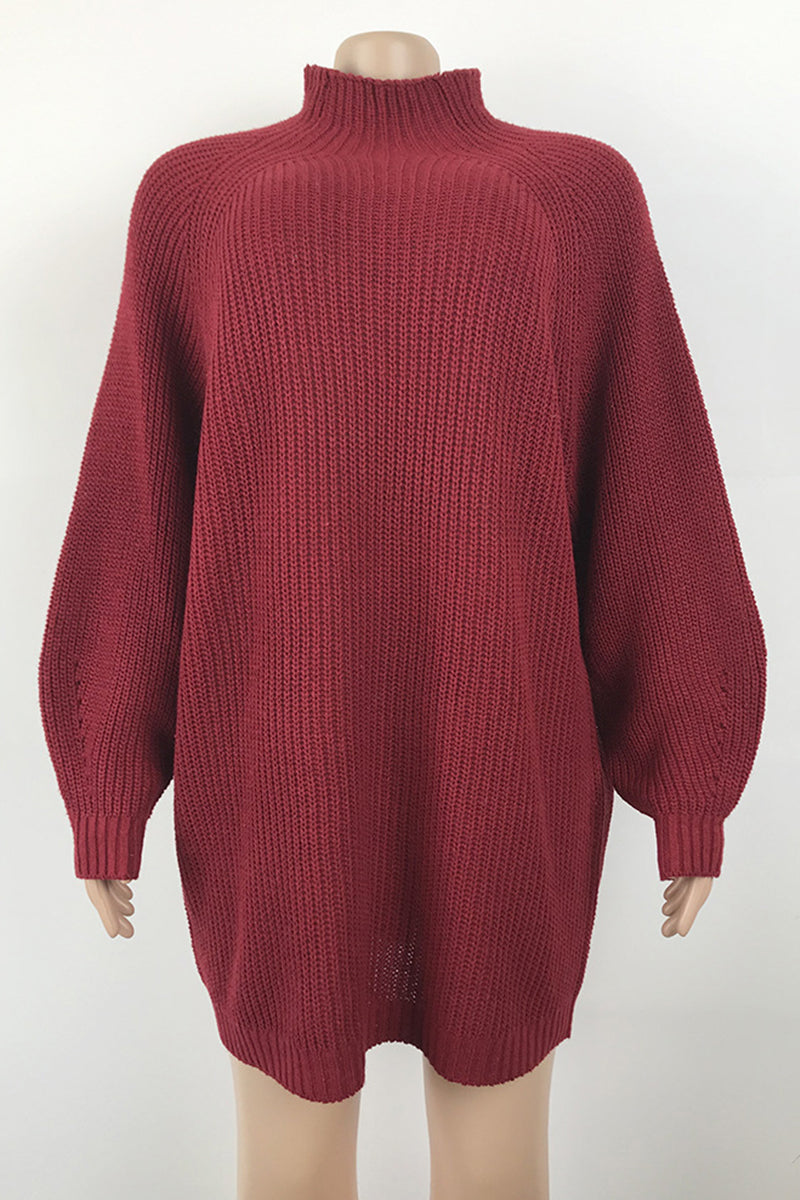 Black Casual Solid Basic Turtleneck Long Sleeve Dresses