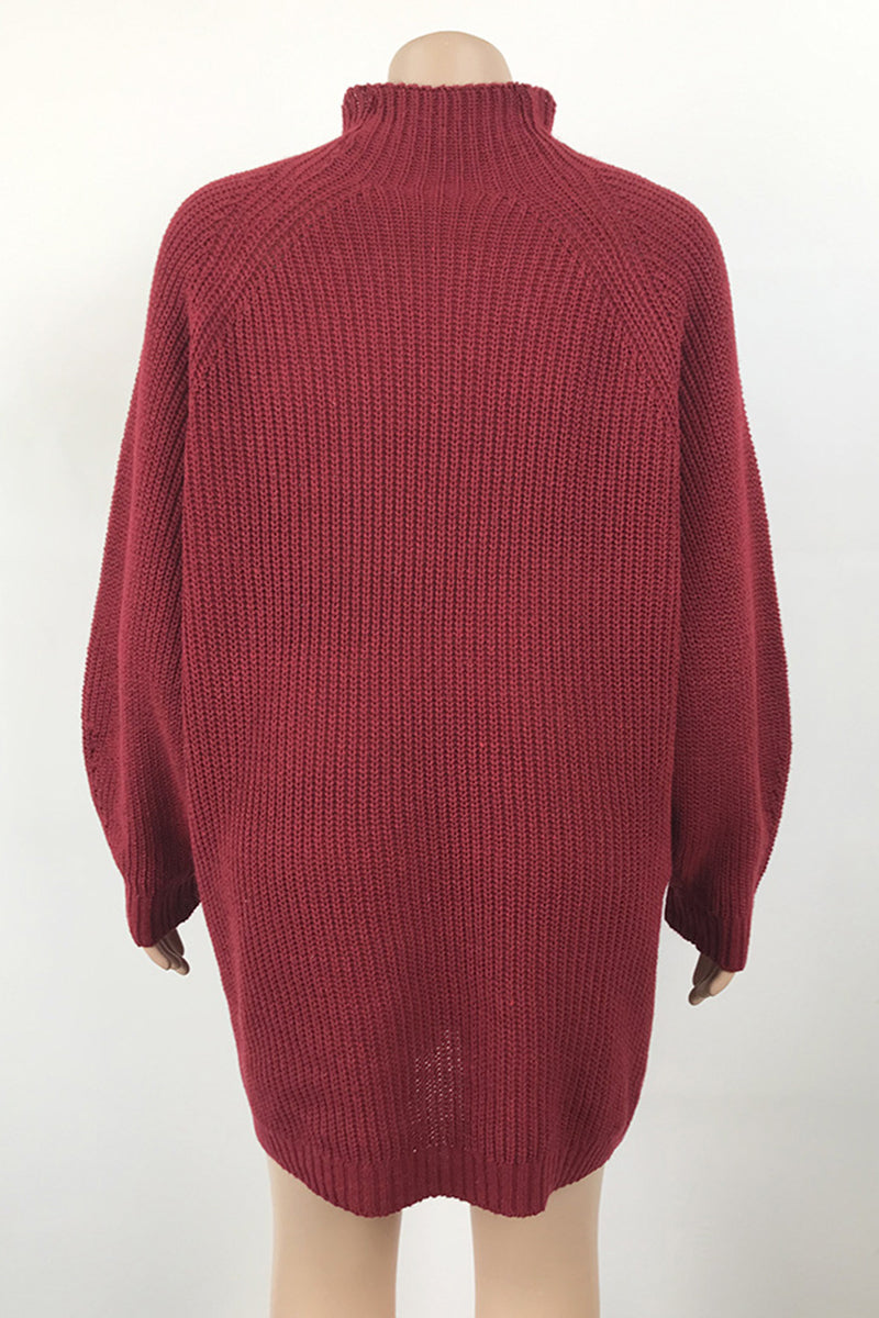 Black Casual Solid Basic Turtleneck Long Sleeve Dresses
